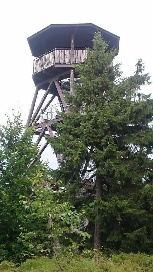 Chalupa Na Paloučku Orlicke Zahori Exteriér fotografie