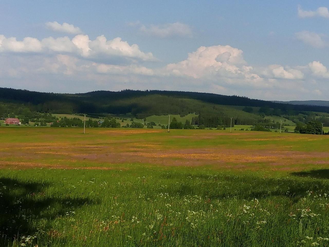 Chalupa Na Paloučku Orlicke Zahori Exteriér fotografie